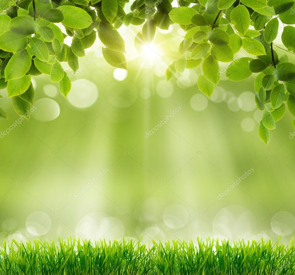 Với hình nền xanh tự nhiên, bạn sẽ như đang đứng giữa thiên nhiên trong lành với bầu trời xanh xanh được phủ kín bởi cây cỏ. Hãy thưởng thức vẻ đẹp thiên nhiên này và cải thiện tâm trạng của bạn.