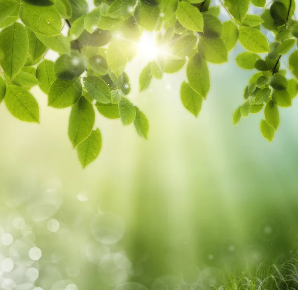 Primavera ou verão calor abstrato — Fotografia de Stock