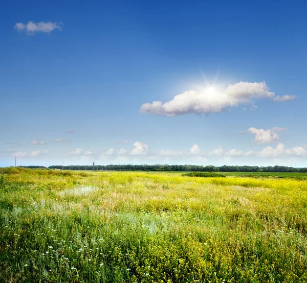 Jarní pole a modré nebe — Stock fotografie