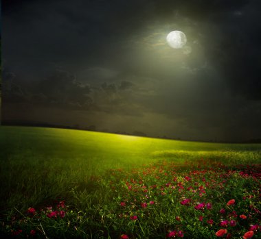 Meadow with flowers and the moon clipart