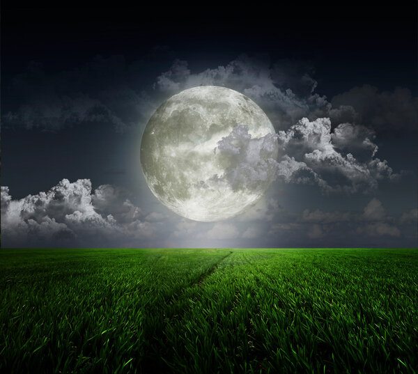 Meadow on background of the moon