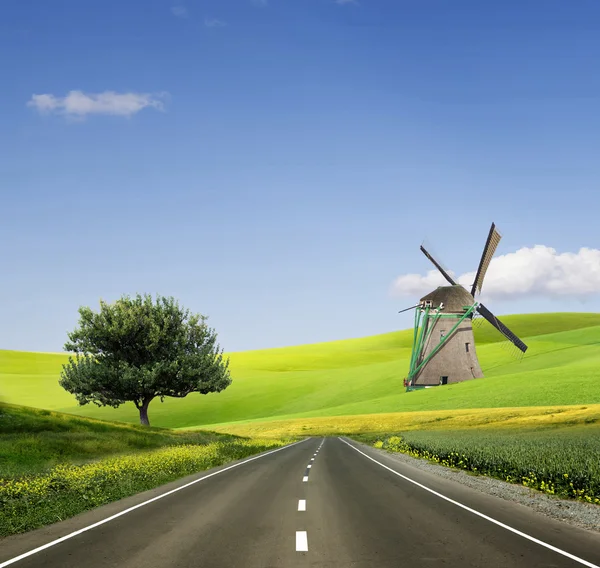 Campo, albero e cielo blu — Foto Stock