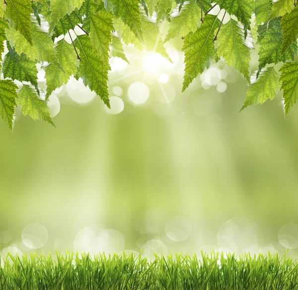 Spring abstract background