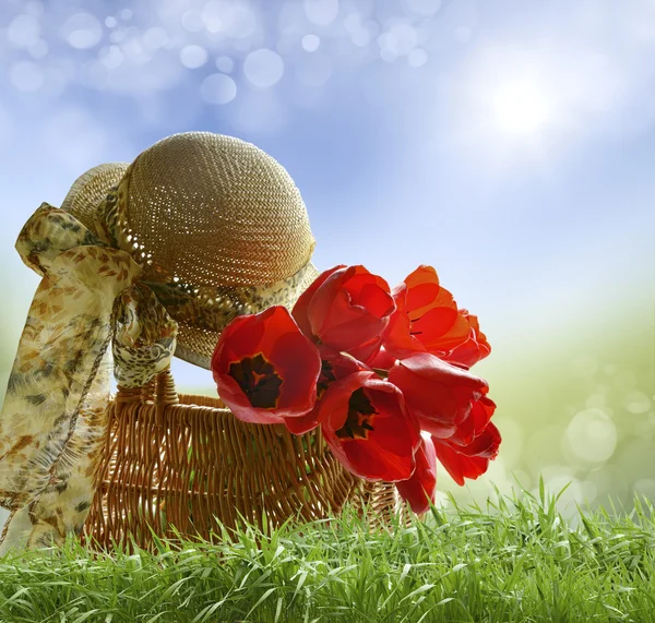 Tulips in the basket — Stock Photo, Image