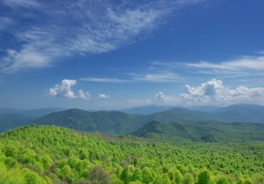 Yaz dağı manzarası