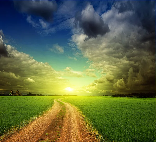 Summer landscape with green grass, road and clouds — Stock Photo, Image
