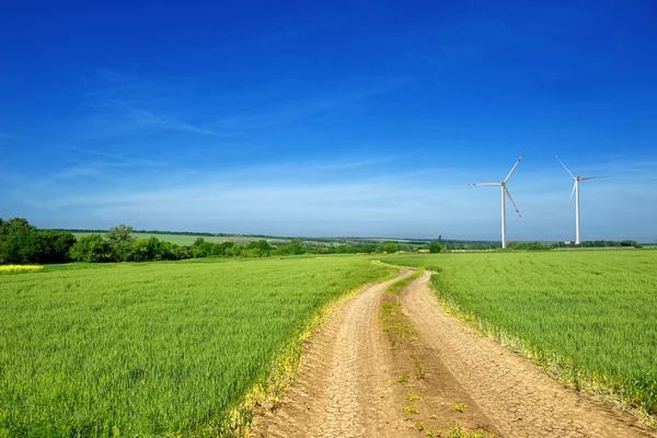 Vacker sommar landskap, road i fältet. — Stockfoto