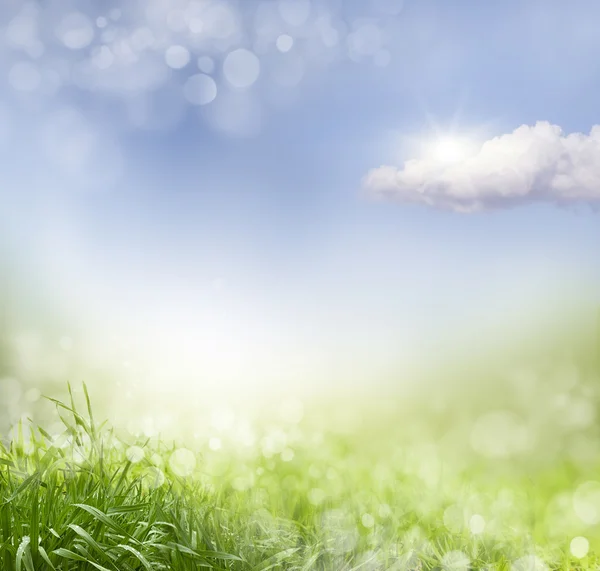 Spring background — Stock Photo, Image