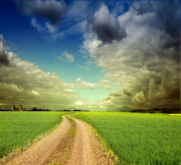 Paisagem de verão com grama verde, estrada e nuvens — Fotografia de Stock