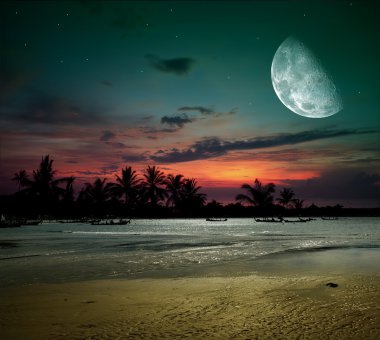 gece balık Okyanusu