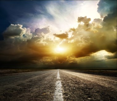 kuş ve yol üzerinde bir düşüş