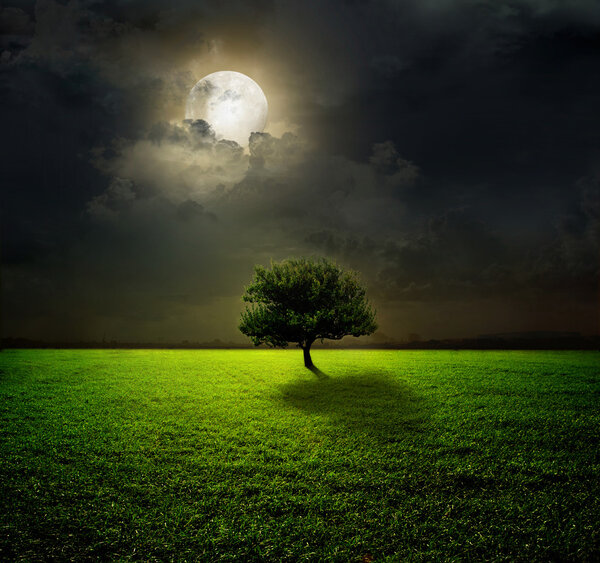 Night and the moon on a green field