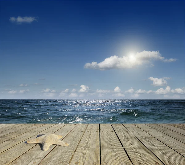 Starfish on the dock — Stock Photo, Image