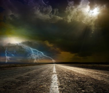kuş ve yol üzerinde bir düşüş