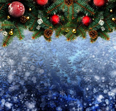 mavi bir arka plan üzerinde Noel ağacı dalı