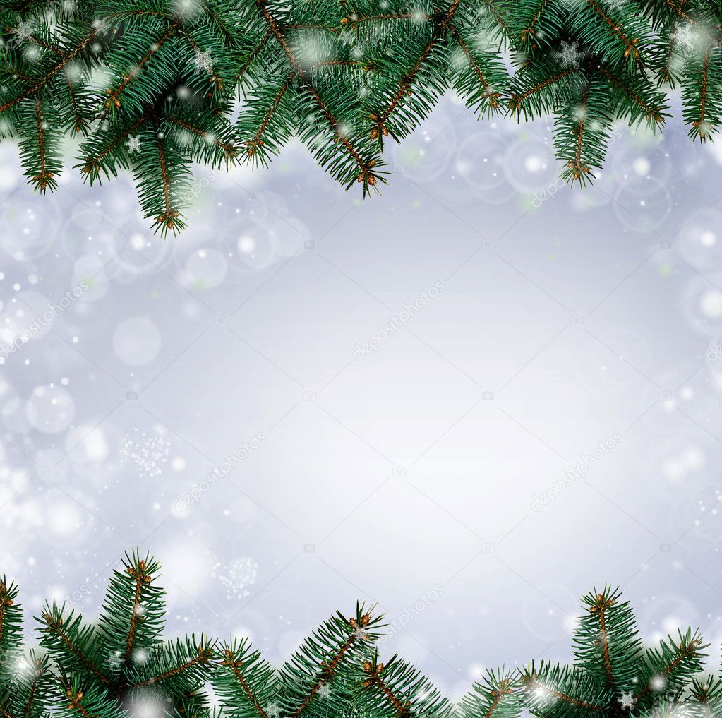 Christmas tree branches border over white background (with sampl