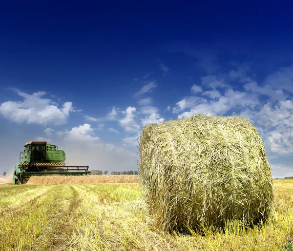 Cosecha se combinan en el campo del trigo — Foto de Stock