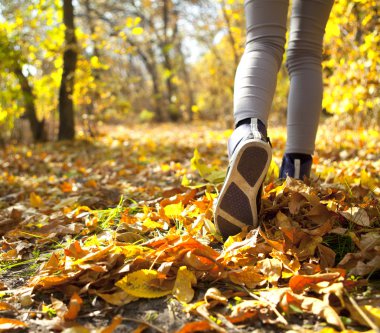 sonbahar ormanda koşu