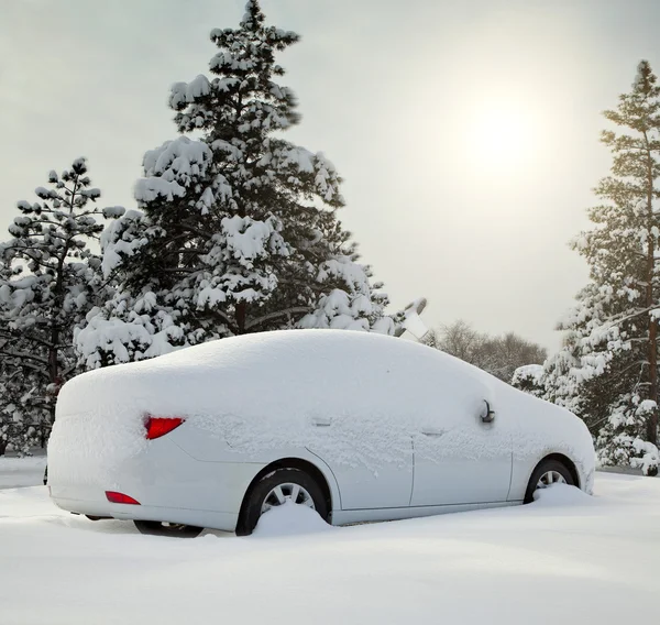 Samochód w lesie śniegiem — Zdjęcie stockowe