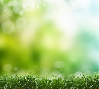 yumuşak ufuk bahar arka plan