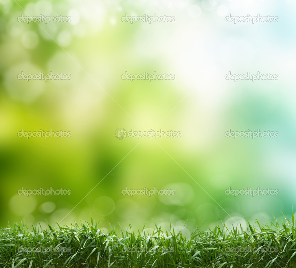 Soft defocused spring background