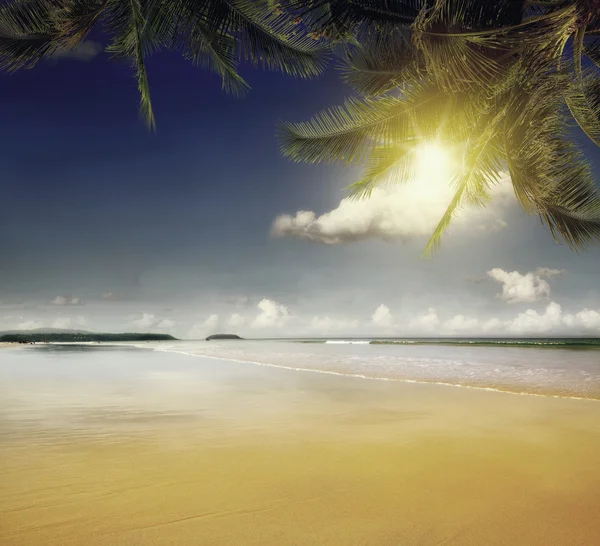 Spiaggia tropicale al tramonto — Foto Stock
