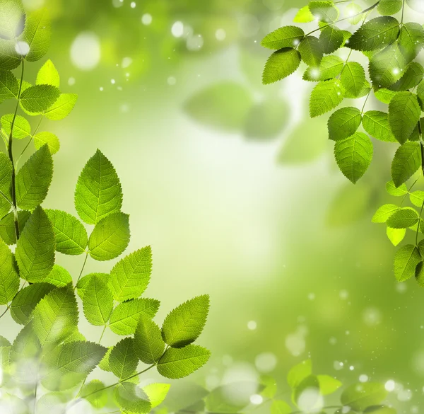 Frühling oder Sommer abstrakten Hintergrund mit Bokeh-Lichter. — Stockfoto