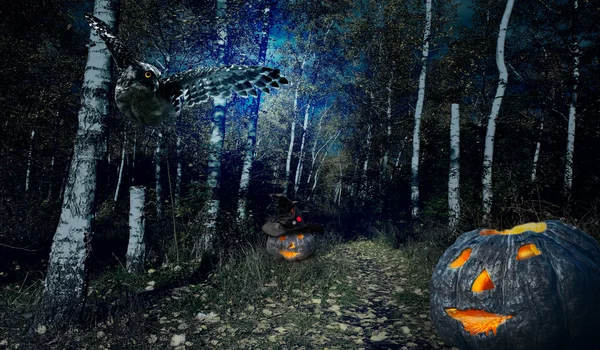 Halloweenv forest — Stockfoto