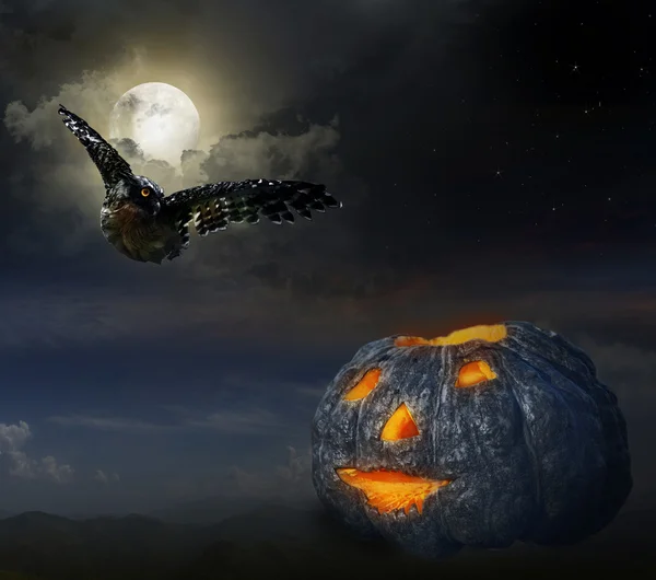 Halloween — Stockfoto