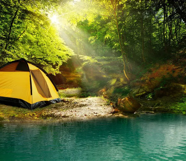 Tent in het bos — Stockfoto