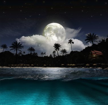 gece kumsalda