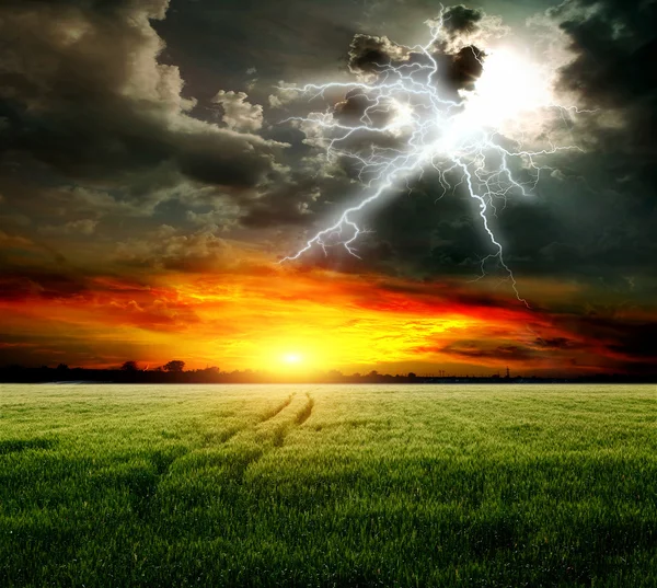 Field, and lightning in the sky — Stock Photo, Image