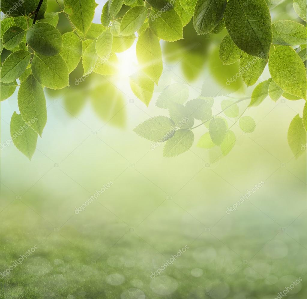 Natural Green Background With Selective Focus Stock Photo By