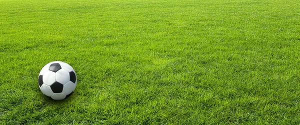 Pasto verde del prado — Foto de Stock