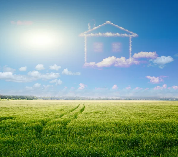 Campo verde e cielo blu — Foto Stock