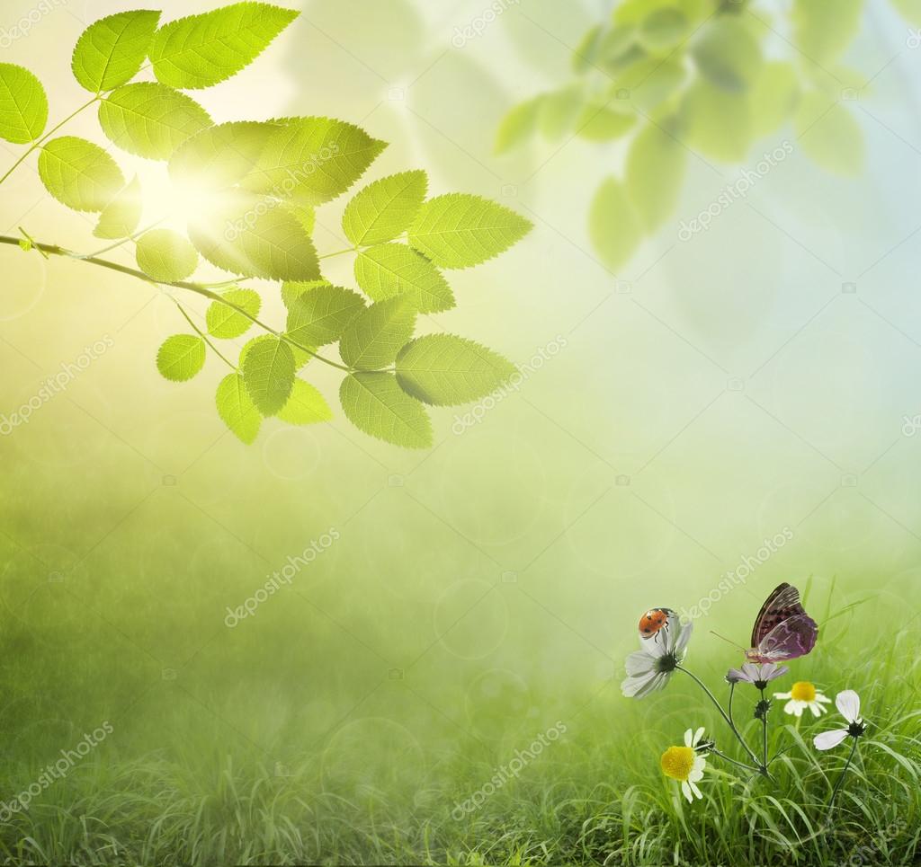 Natural Green Background Stock Photo By ©krivosheevv 49798931