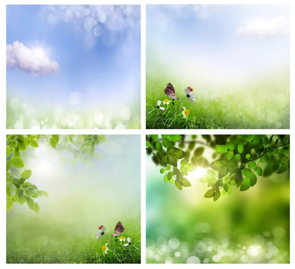 Spring backgrounds — Stock Photo, Image