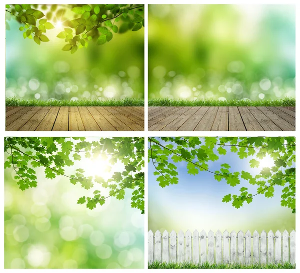 Spring backgrounds — Stock Photo, Image