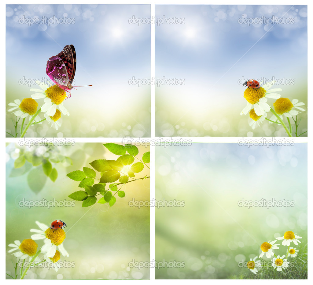 spring backgrounds