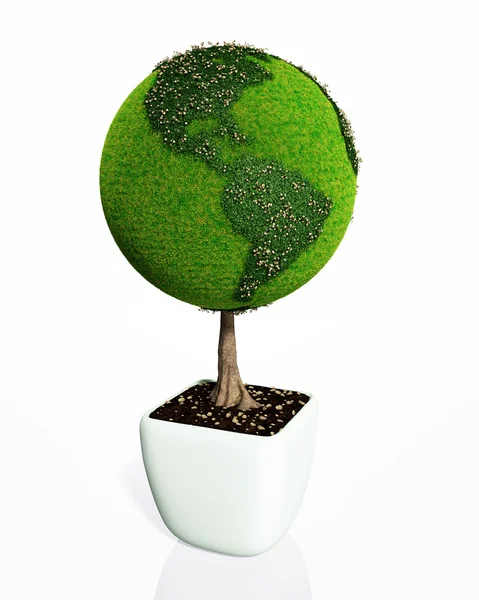 A plant shaped like a world — Stock Photo, Image