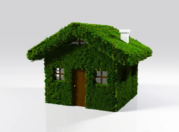 Ett hus gjort av gräs — Stockfoto