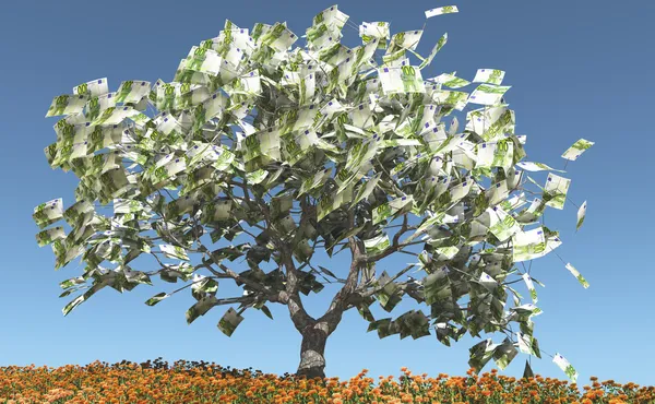 Árbol de dinero — Foto de Stock