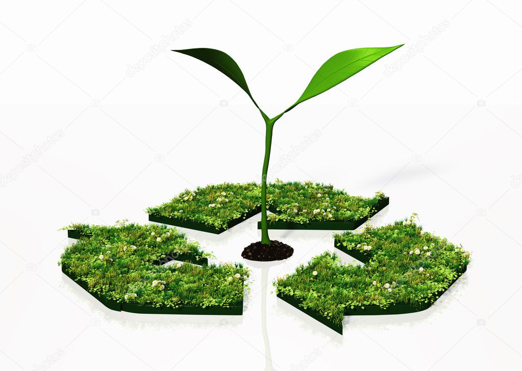 small plant in a recycling symbol