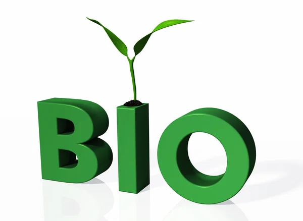 Planta joven sobre la palabra BIO —  Fotos de Stock