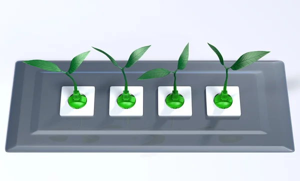 Pequenas plantas conectadas em um painel de suporte — Fotografia de Stock