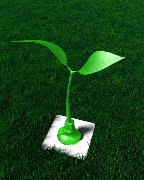 Small plant plugged in the ground — Stock Photo, Image