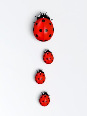 Dikey üst üste Ladybirds