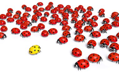 Sarı ladybird marjinal
