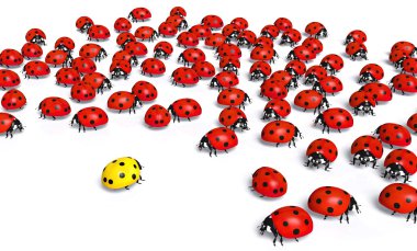 Yellow ladybird is marginalized clipart