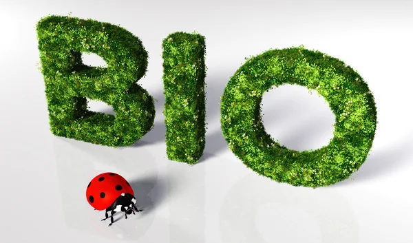 Lieveheersbeestjes met bio-tekst — Stockfoto